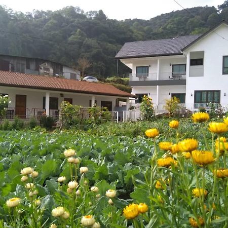 Ng Family'S Farm Stay Cameron Highlands Bagian luar foto