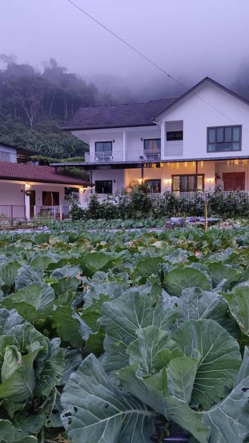 Ng Family'S Farm Stay Cameron Highlands Bagian luar foto