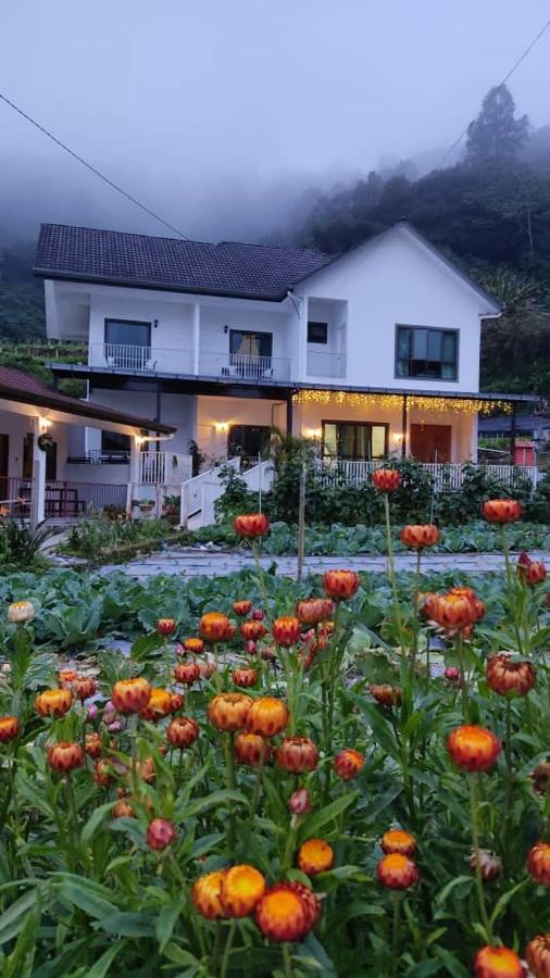 Ng Family'S Farm Stay Cameron Highlands Bagian luar foto