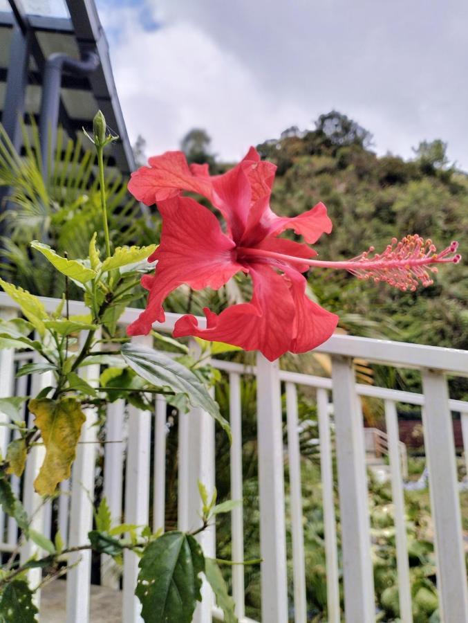 Ng Family'S Farm Stay Cameron Highlands Bagian luar foto